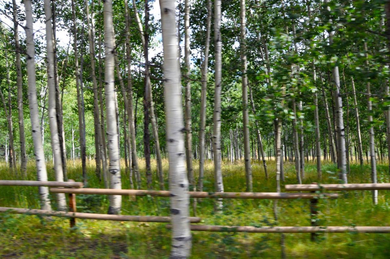 Alpine Inn Pagosa Springs Eksteriør bilde
